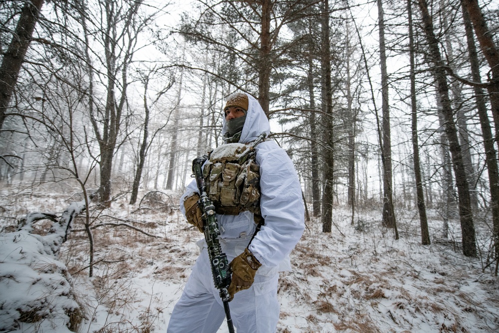 Patrolling the Woods