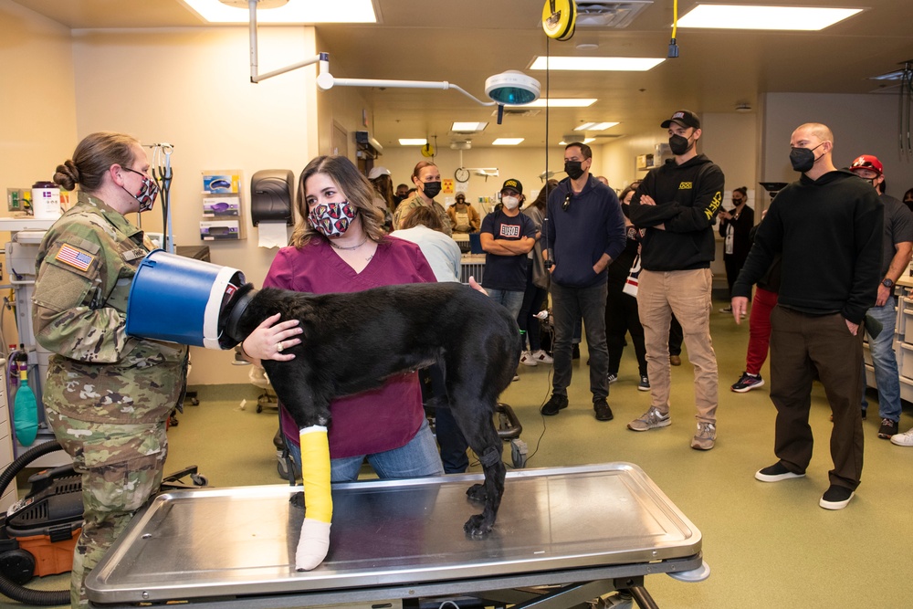 Upcoming movie &quot;Dog&quot; promoted at JBSA