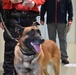 Working dog
