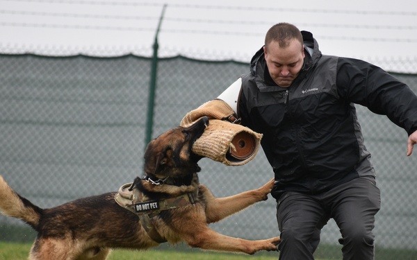 Taking a bite out of crime