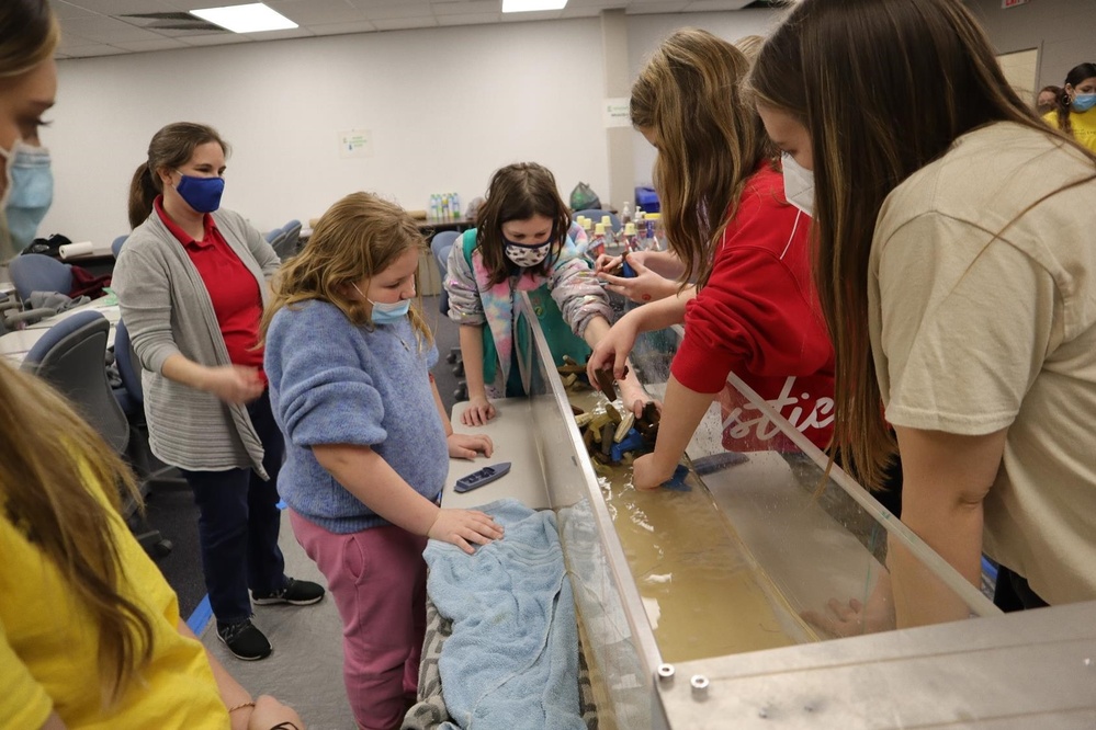 ERDC engineers and scientists participate in Girl Scout workshop