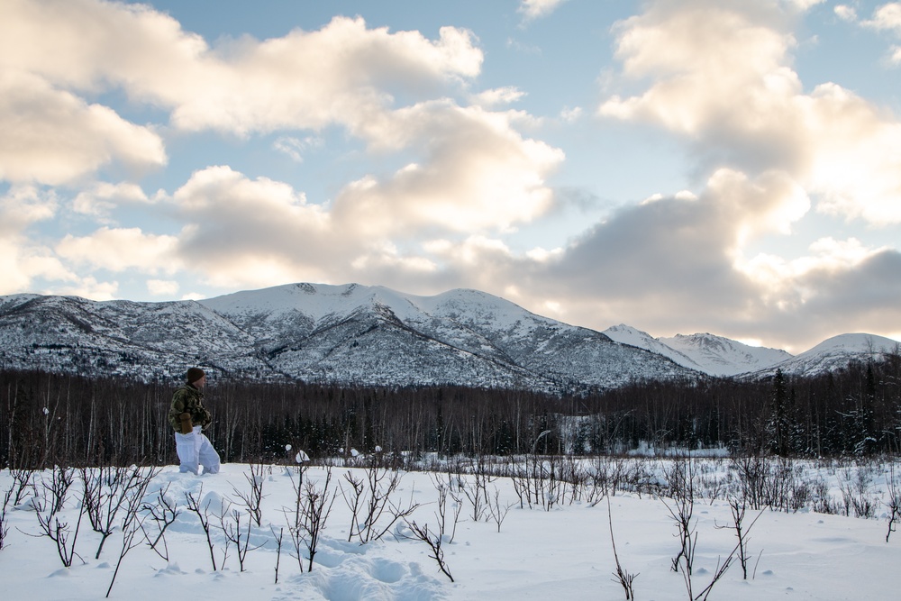 Scout Platoon holds reconnaissance and mobility training