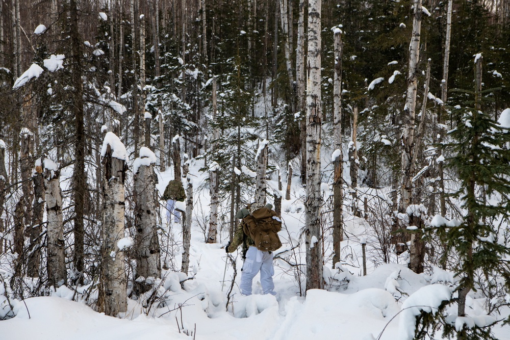 Scout Platoon holds reconnaissance and mobility training