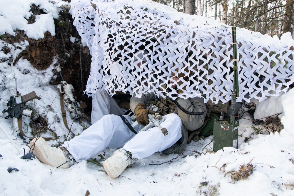 Scout Platoon holds reconnaissance and mobility training