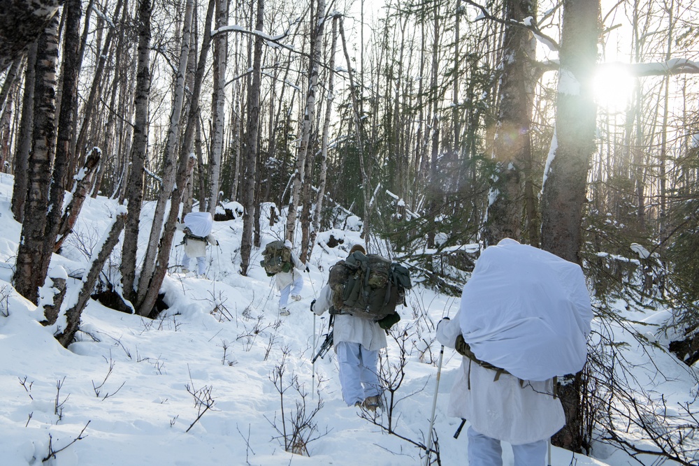 Scout Platoon holds reconnaissance and mobility training