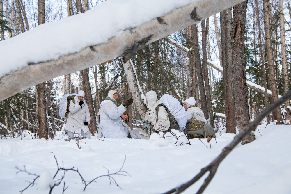 Scout Platoon holds reconnaissance and mobility training