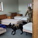 Validation process tests Fort Drum Military Working Dog team readiness
