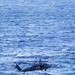 Photo: AFR capabilities enable immediate ocean rescue