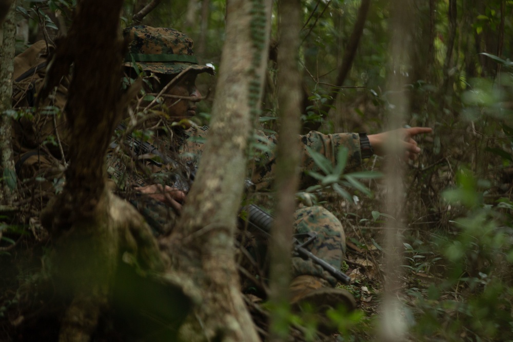 JWX22: Combat Logistics Battalion 4 Marines conduct air insert, water purification operations