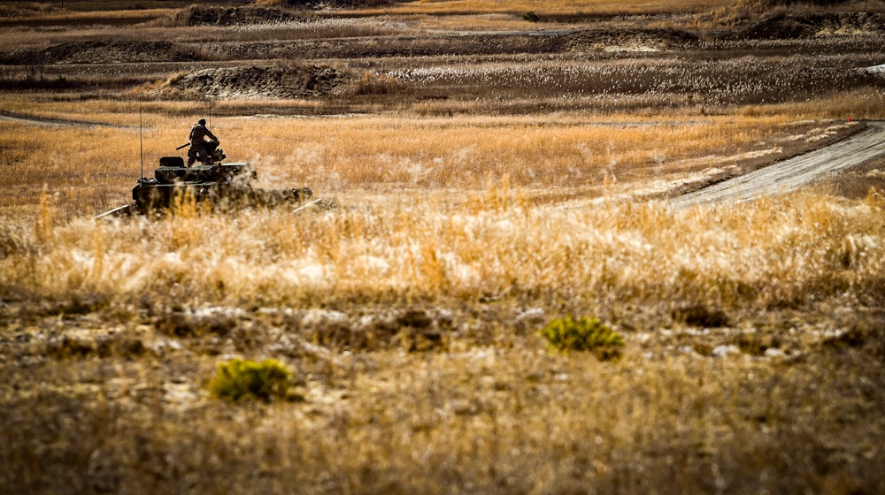 U.S. Army 1st Battalion, 111th Infantry Regiment STRYKER Table IV Exercise