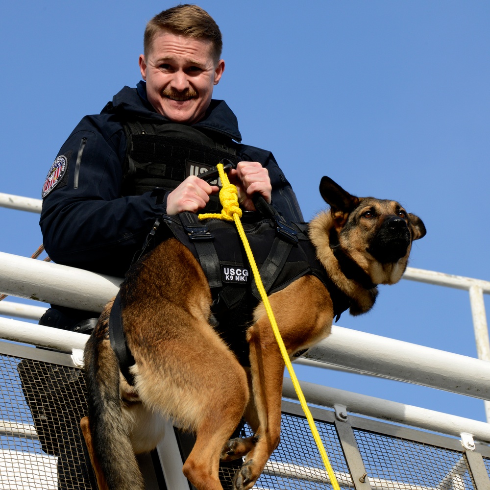 Coast Guard Canine Explosive Detection Teams conduct joint training on Puget Sound