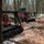 Forestry heavy equipment operators clearing underbrush