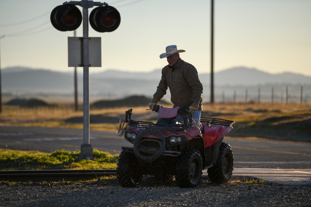 Cattle Drive