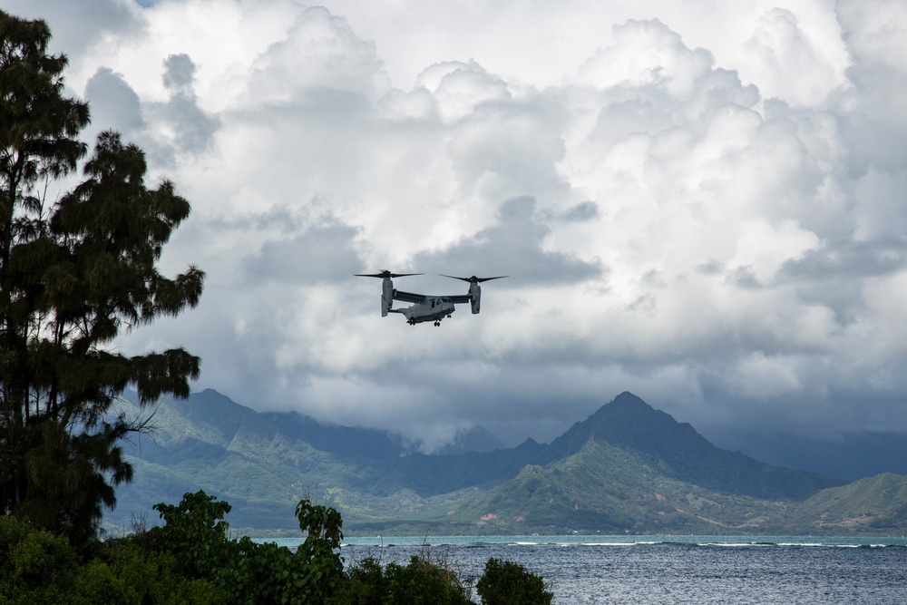 VMM-268 MEDEVAC Training with Army's 8th FRSD