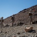 Marine Raiders and UAE Presidential Guard execute live fire training at the Combat Center