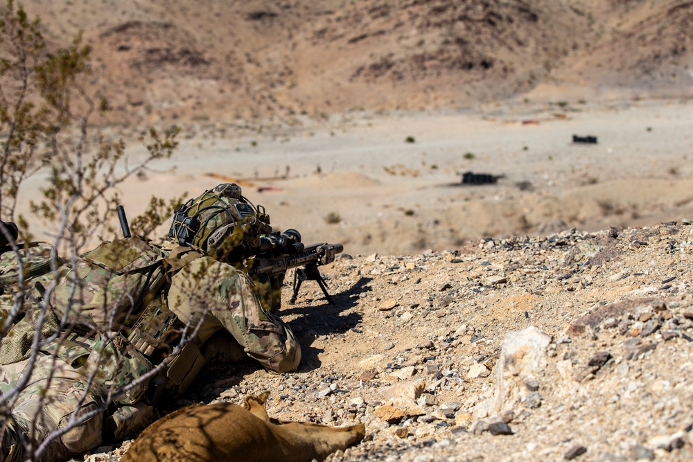 Marine Raiders and UAE Presidential Guard execute live fire training at the Combat Center