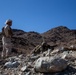 Marine Raiders and UAE Presidential Guard execute live fire training at the Combat Center