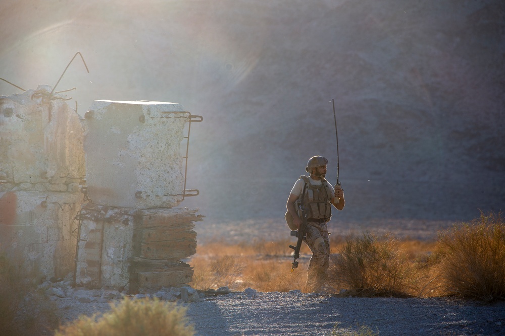 United Arab Emirates Presidential Guard participates in MWX 1-22