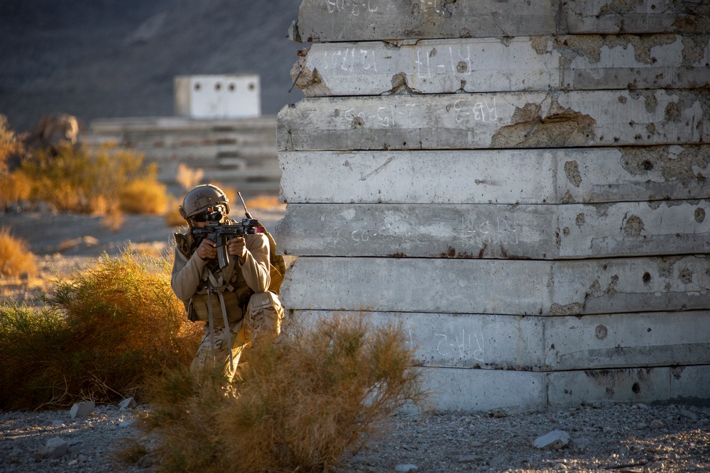 United Arab Emirates Presidential Guard participates in MWX 1-22