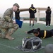 Army Combat Fitness Test