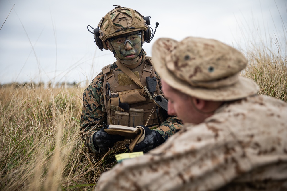 31st MEU Helo Raid