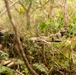 U.S. Marines conduct Jungle Warfare Exercise 22