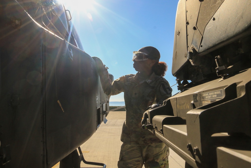Task Force Palehorse Conducts Training Readiness in Greece