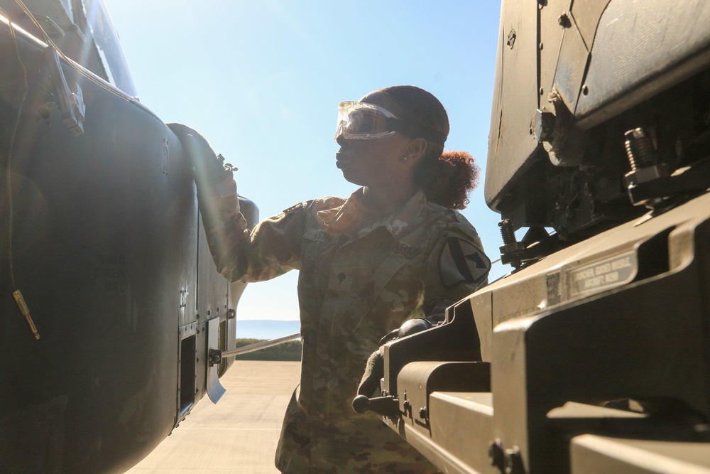 Task Force Palehorse Conducts Training Readiness in Greece