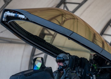 Learning to ride a Raptor; the 43d FS Mission