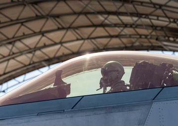 Learning to ride a Raptor; the 43d FS Mission