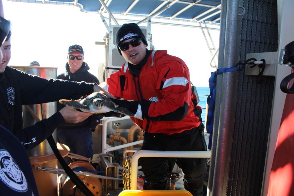 Coast Guard Cutter Richard Snyder crew assists in sea turtle relocation for North Carolina aquariums
