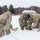 Staking a field hospital