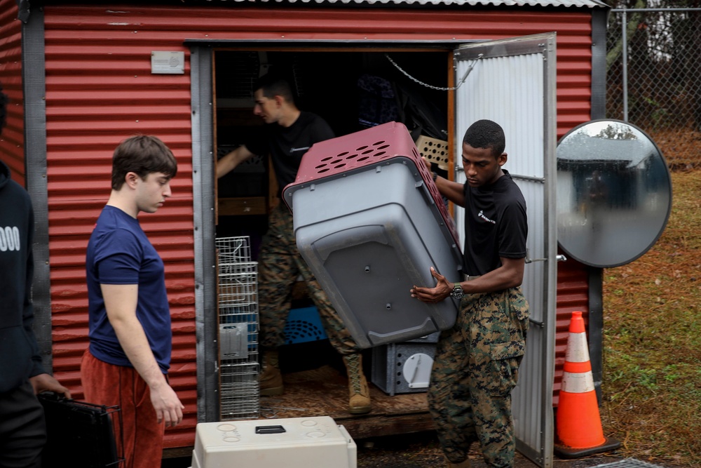 U.S. Marines and Poolees Volunteer at Local Animal Shelter