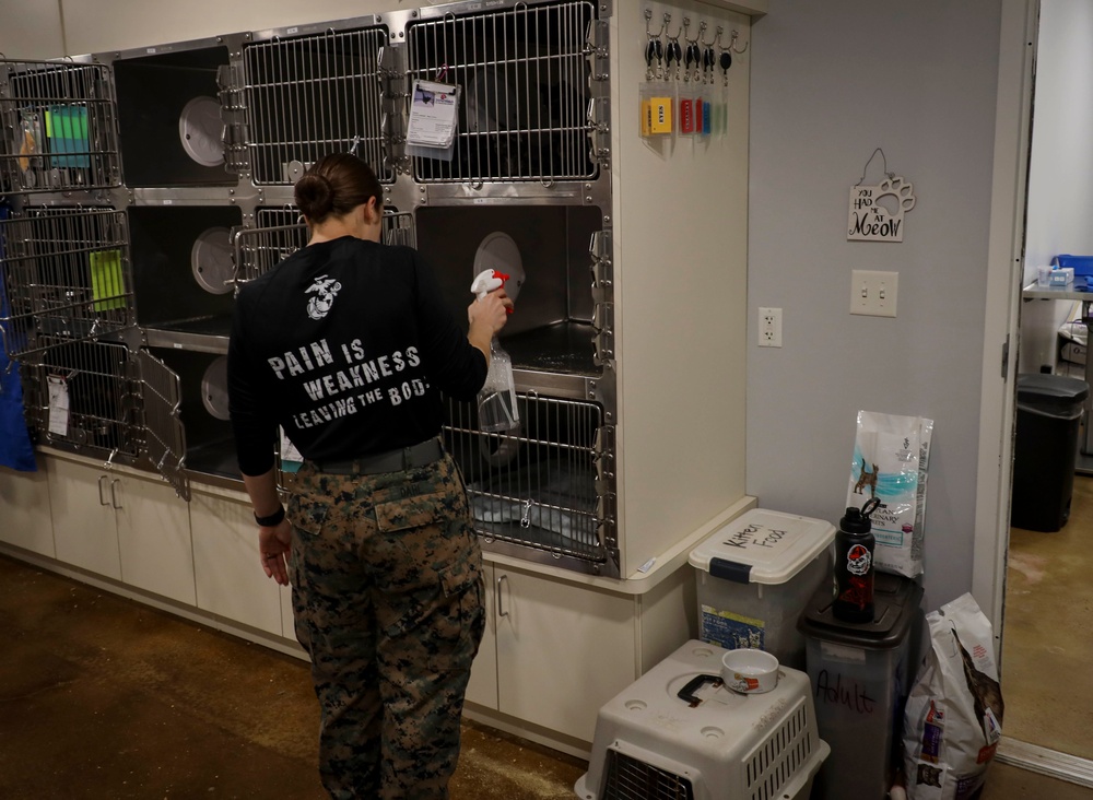 U.S. Marines and Poolees Volunteer at Local Animal Shelter