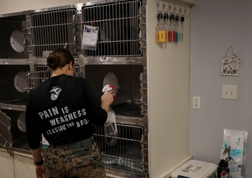 U.S. Marines and Poolees Volunteer at Local Animal Shelter