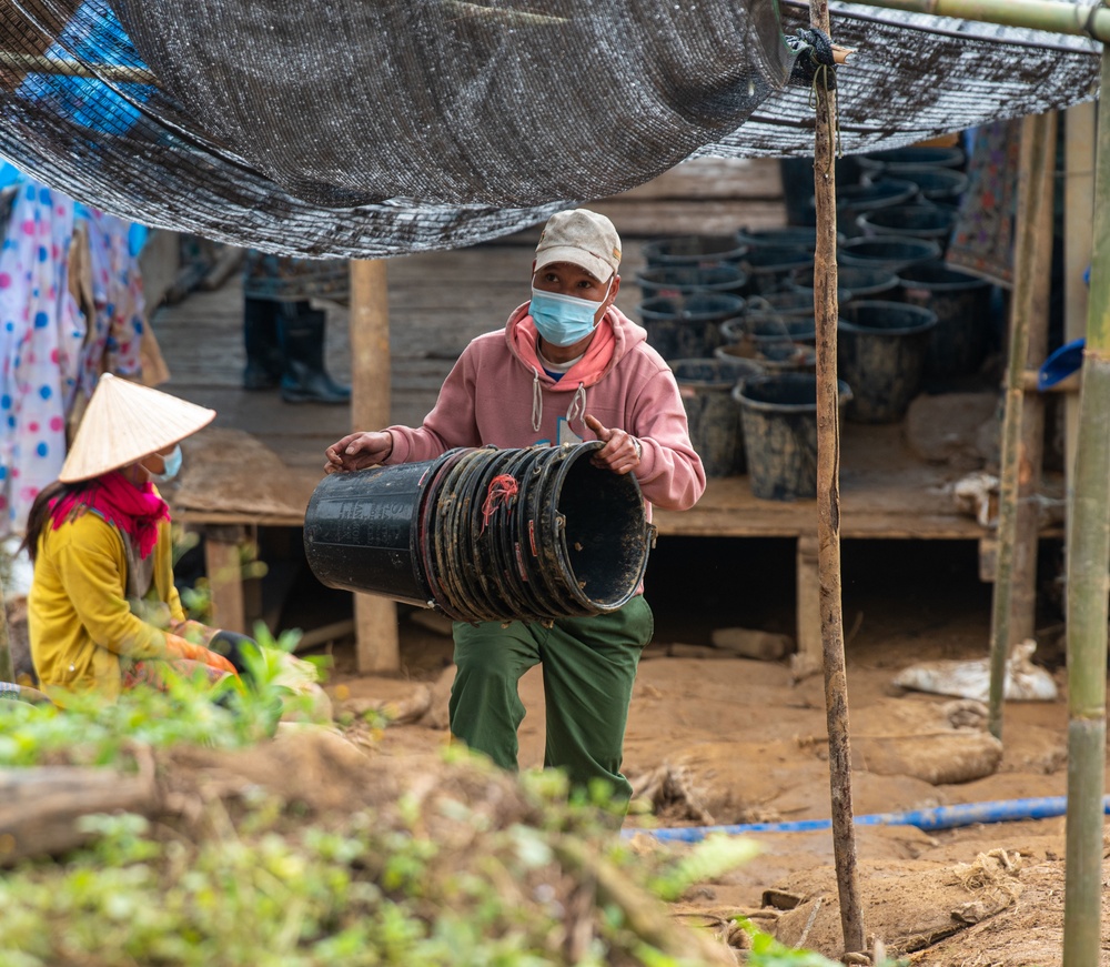 Bringing our Heroes Home