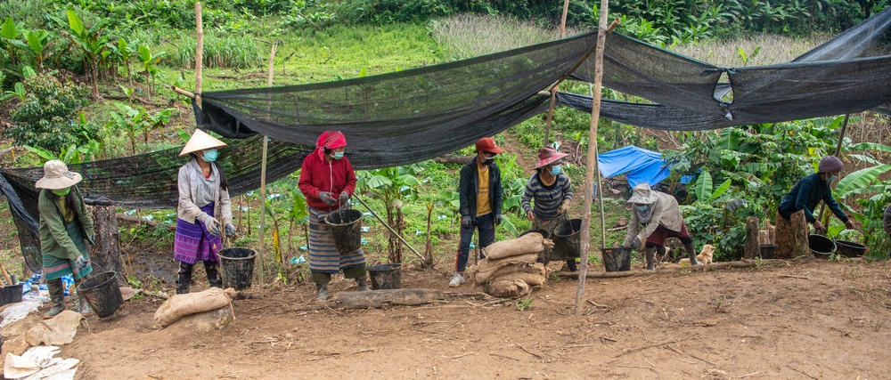 Bringing our Heroes Home