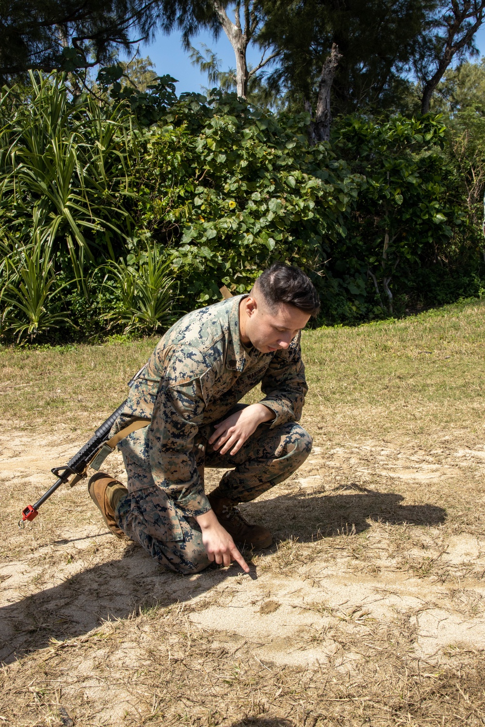 U.S. Marines with Combat Logistics Company Alpha conduct Jungle Warfare Training