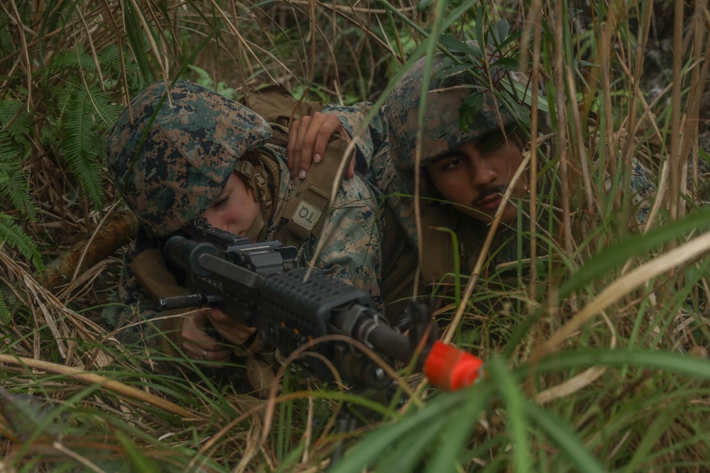 U.S. Marines with Combat Logistics Company Alpha conduct Jungle Warfare Training