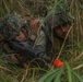 U.S. Marines with Combat Logistics Company Alpha conduct Jungle Warfare Training