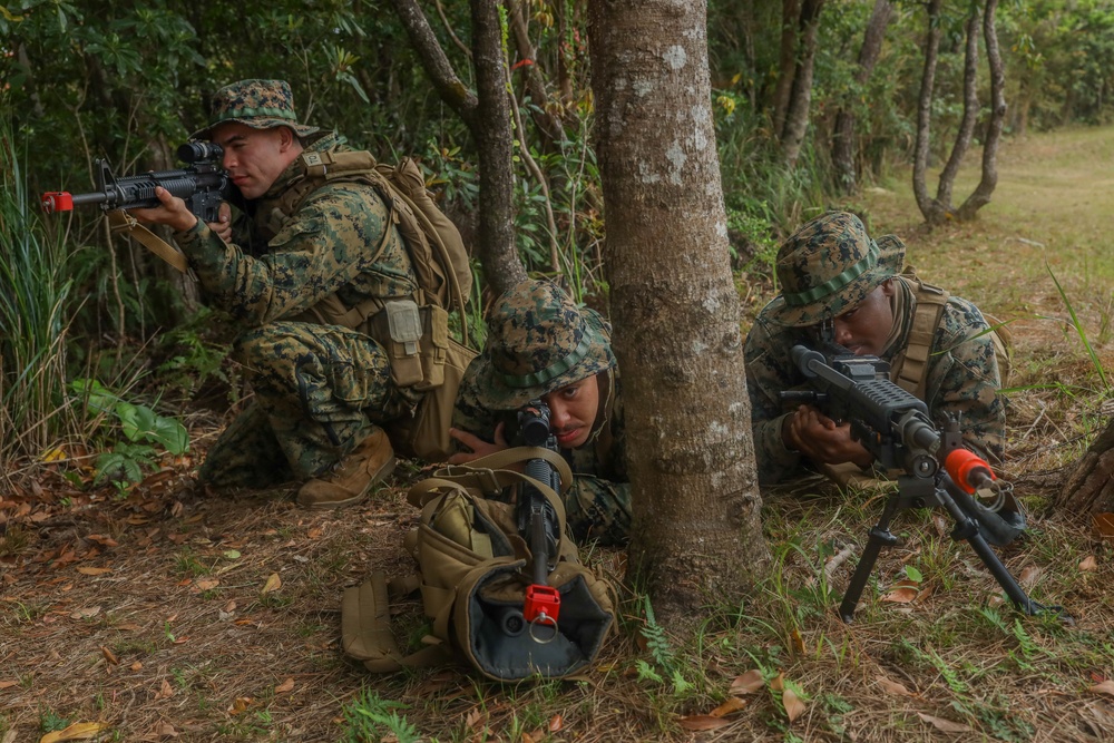 U.S. Marines with Combat Logistics Company Alpha conduct Jungle Warfare Training