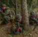 U.S. Marines with Combat Logistics Company Alpha conduct Jungle Warfare Training