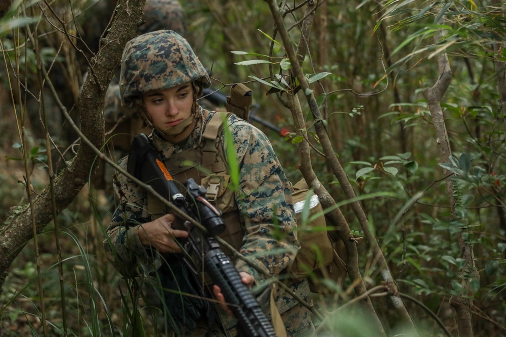 U.S. Marines with Combat Logistics Company Alpha conduct Jungle Warfare Training