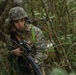 U.S. Marines with Combat Logistics Company Alpha conduct Jungle Warfare Training