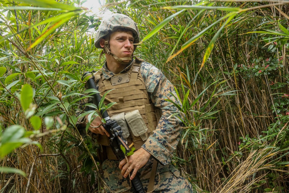 U.S. Marines with Combat Logistics Company Alpha conduct Jungle Warfare Training