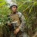 U.S. Marines with Combat Logistics Company Alpha conduct Jungle Warfare Training