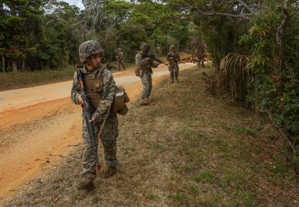 U.S. Marines with Combat Logistics Company Alpha conduct Jungle Warfare Training