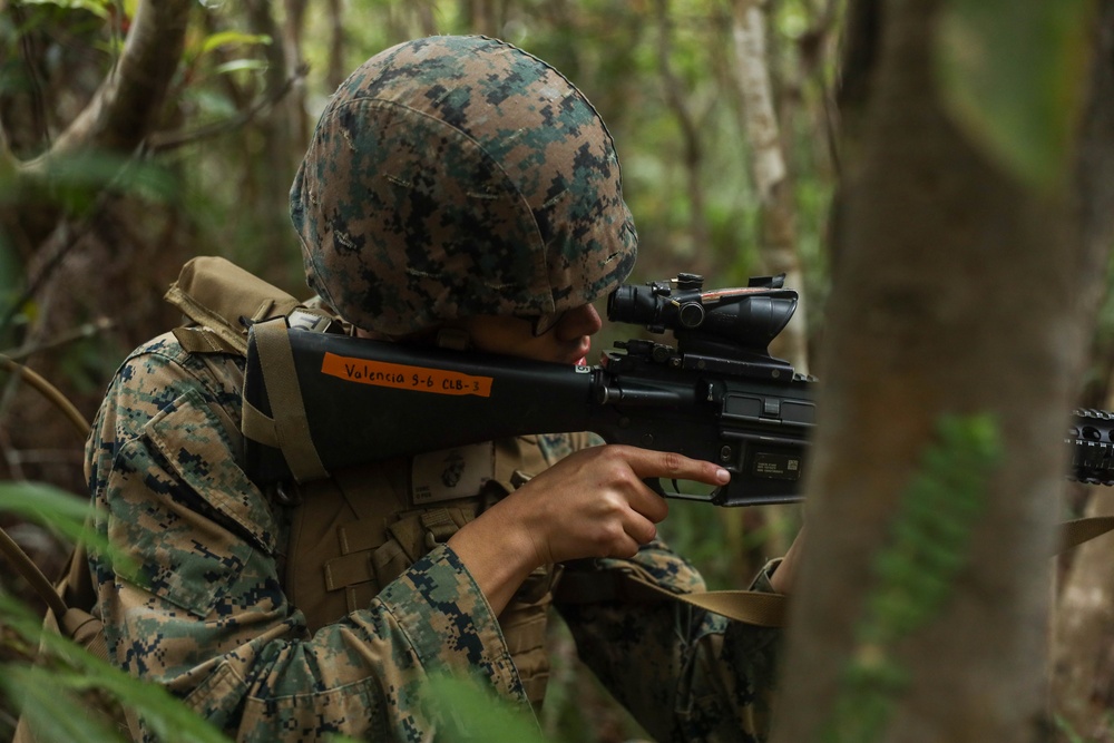 U.S. Marines with Combat Logistics Company Alpha conduct Jungle Warfare Training