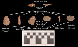 Fort McCoy ArtiFACT: Stone flake