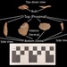 Fort McCoy ArtiFACT: Stone flake